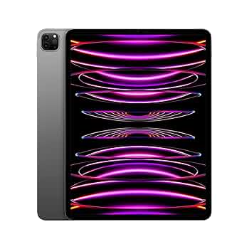 Amazon.com: 2022 Apple iPad Pro (12.9 吋,Wi-Fi,256GB) - 太空